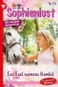 Sophienlust - Die nächste Generation 94 - Familienroman