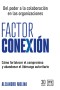 Factor conexión