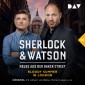 Sherlock & Watson - Neues aus der Baker Street: Bloody Summer in London (Fall 14)