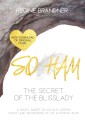 SO HAM - The Secret of the Blisslady