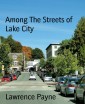 Among The Streets of Lake City