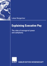 Explaining Executive Pay