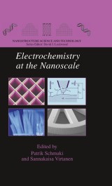 Electrochemistry at the Nanoscale