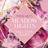 Meadow Hights: Small Town Secrets