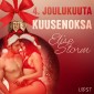 4. joulukuuta: Kuusenoksa - eroottinen joulukalenteri