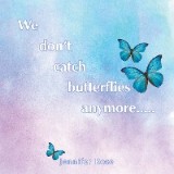 We don't  catch  butterflies  anymore.....