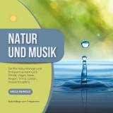 Natur und Musik: Sanfte Naturklänge und Entspannungsmusik (Wald, Vögel, Meer,  Regen, Wind, Ozean, Wassertropfen)