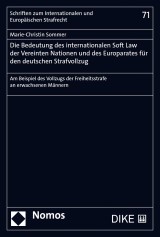 Die Bedeutung des internationalen Soft Law der Vereinten Nationen und des Europarates für den deutschen Strafvollzug