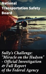 Sully's Challenge: 
