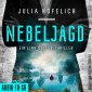 Nebeljagd