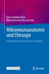 Mikroneuroanatomie und Chirurgie