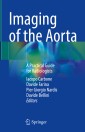 Imaging of the Aorta