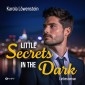 Little Secrets in the Dark