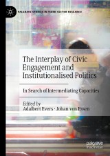 The Interplay of Civic Engagement and Institutionalised Politics