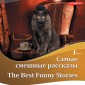 Samye smeshnye rasskazy / The Best Funny Stories