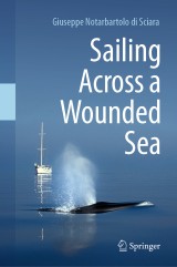 Sailing Across a Wounded Sea