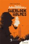 The best adventures of Sherlock Holmes