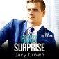 CEO Baby Surprise: One-Night-Stand mit Folgen (Unexpected Love Stories)