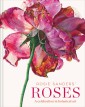 Rosie Sanders' Roses