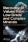 Recovery of Values from Low-Grade and Complex Minerals