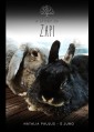 A story of Zapi