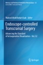 Endoscope-controlled Transcranial Surgery