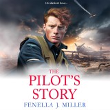 Pilot's Story