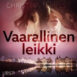 Vaarallinen leikki - eroottinen novelli