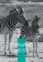 Schwarz-Weiß