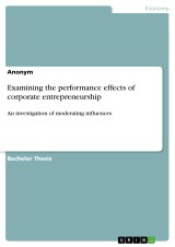 Examining the performance effects of corporate entrepreneurship