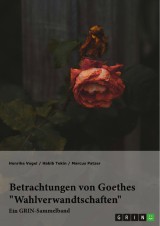 Betrachtungen von Goethes 