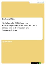 Die bilanzielle Abbildung von Software-Systemen nach HGB und IFRS anhand von ERP-Systemen und Internetauftritten