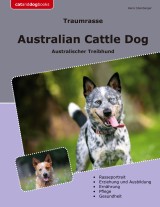 Traumrasse Australian Cattle Dog