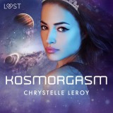 Kosmorgasm - erotisk novell