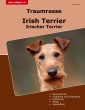 Traumrasse Irish Terrier