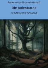 Die Judenbuche: In Einfacher Sprache