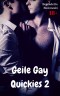 Geile Gay Quickies 2