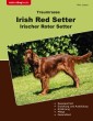 Traumrasse Irish Red Setter