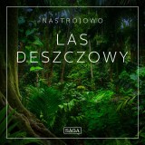 Nastrojowo - Las Deszczowy