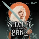 Silver in the Bone (Die Hollower-Saga 1)