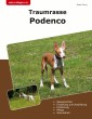 Traumrasse Podenco