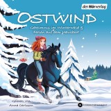 Ostwind. Geheimnis im Winterwald & Ferien auf dem Hausboot