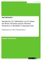 Simulación de Combustión en la Cámara del Motor Turbofán usando Métodos Numéricos y Modelado Computacional