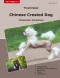Traumrasse Chinese Crested Dog