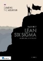 Lean Six Sigma Black Belt