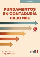 Fundamentos en contaduría bajo NIIF