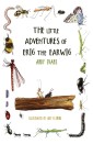 The Little Adventures of Erig the Earwig