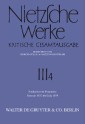 Nachgelassene Fragmente Sommer 1872 - Ende 1874