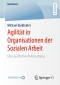 Agilität in Organisationen der Sozialen Arbeit