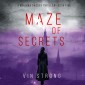 Maze of Secrets (A Brianna Dagger Espionage Thriller-Book 5)